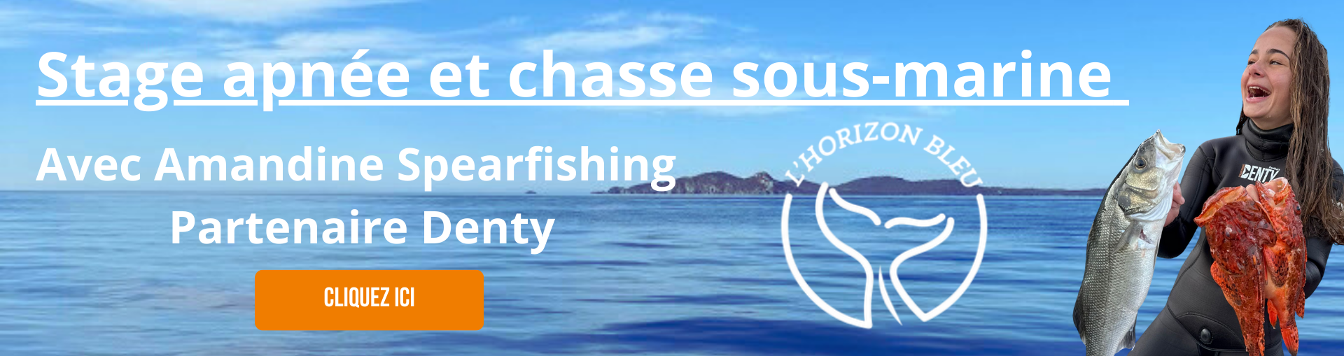 Bannière de stage Horizon Bleu